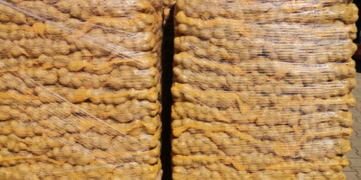 Sprzedam Ziemniaki żółte Kaliber[telefon] oraz 45+ 50+ 55+ 70+ mozliwosc