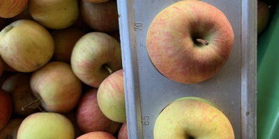 Firma Fuji 65/75 w prowincji Udine we Włoszech