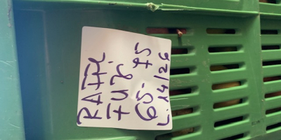 Firma Fuji 65/75 w prowincji Udine we Włoszech