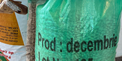 Fasola biała, worek 10 kg, jakość A, 180-200/100 g,