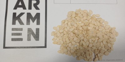 Kraj pochodzenia - Chiny Ilość - 875 kg Opakowanie