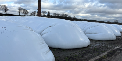 Dzień dobry posiadam 3 000 ton kukurydzy dostępnej od