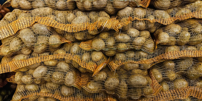 Soraya. Sprzedam żółte ziemniaki, 50+ kalorii, ilości całopojazdowe. Fitocertyfikowane.