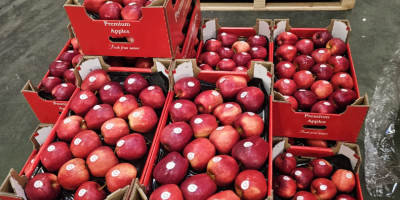 Sprzedam jabłka deserowe , drobne i 2 klasy odmiany