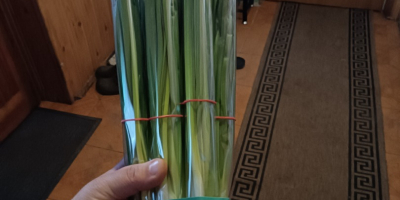 Witam sprzedam szczypior w pęczkach jak i na wagę