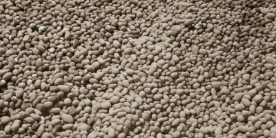 FOR SALE: Baby Potatoes 22-40mm – Gala & Queen