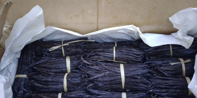 Świeże laski wanilii (odmiana Bourbon) z Ugandy. Dowolne ilości.