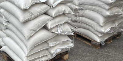 Długi biały ryż. Pochodzenie: Surinam (region Karaibów). Ten wysokiej