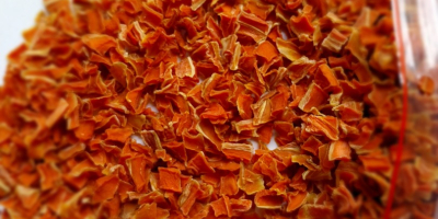 Marchew suszona cięta 10x10x2mm od Polskich producentów