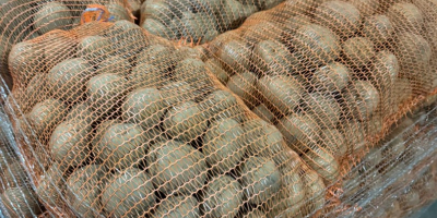 Witam, mam do sprzedania ziemniaki jadalne: - odmiana: Lord,