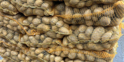 Dzień dobry, Oferujemy ziemniaki jadalne odmian: GALA , QUENN