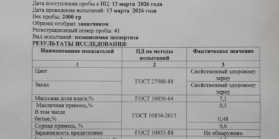 Kazachstańska firma eksportuje do Europy produkty rolne: grykę, krokosz,