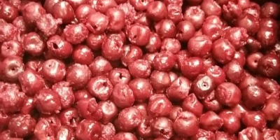 Wiśnie drylowane IQF odmiany Oblacinska produkowane są ze starannie