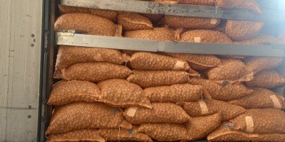 Witam, W ciągłej ofercie posiadamy orzechy włoskie, sosy różne,