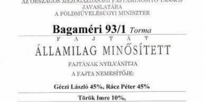 ZAMÓWIENIE SADZONEK KONIOWYCH! Gotowe do natychmiastowego sadzenia (kiełkowane lub