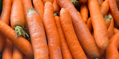 Nawiąże współprace z importerami lub producentami marchwi i cebuli