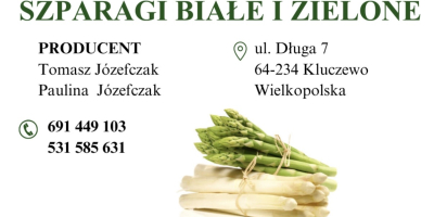 Sprzedam szparagi białe w ilościach hurtowych