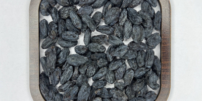 Czarne rodzynki (suszone w cieniu) — AFI AGRO Uzbekistan