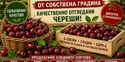 Zadzwoń po więcej informacji