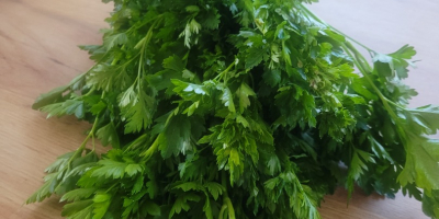 Sprzedam natkę pietruszki