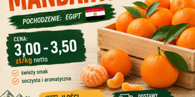 Mandarynka, kraj pochodzenia Egipt, ilości Tirowe/paletowe info. +48 [telefon]