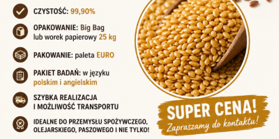 Siemię lniane brązowe i złote ilość 100-1000 t