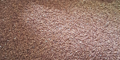 Oferuję Wiesiołek, wyczyszczony, niepryskany, 11 ton.