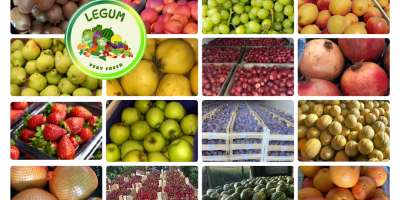 RGI DAR FRESH SRL to rumuńska firma z siedzibą