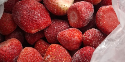 Firma Ezar Frozen Foods Europe (branch office producenta z