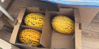 Drodzy przyjaciele z całego świata, chcemy sprzedać nasz produkt.