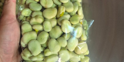 Sprzedam bób pakowany po 500g, worek zgrzewany, komplet badań,
