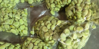 Sprzedam bób pakowany po 500g, worek zgrzewany, komplet badań,