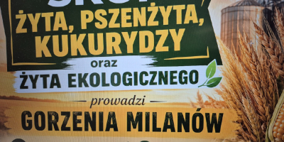 SKUP ŻYTA, PSZENŻYTA, KUKURYDZY oraz ŻYTA EKOLOGICZNEGO prowadzi GORZENIA