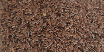 Firma Agrotime Ltd. planuje zaoferować na sprzedaż około 600
