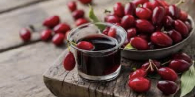 Zapraszam do zakupu owoc&oacute;w derenia. Owoce produkowane są naturalnie