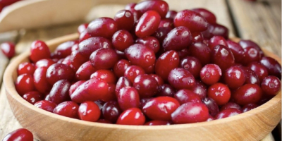 Zapraszam do zakupu owoc&oacute;w derenia. Owoce produkowane są naturalnie