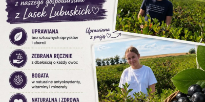 Aronia do odbioru bezpośrednio po zbiorze około 20 ton
