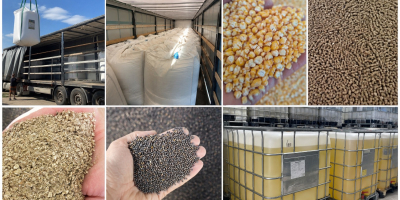 PRODOTTI AGRICOLI DALL’UCRAINA – COLLABORAZIONE CONTINUATIVA Cerchiamo importatori e