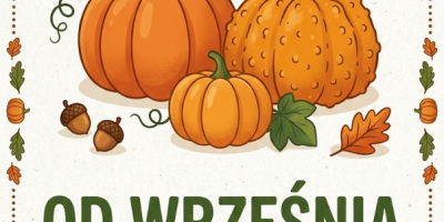 Co oferujemy w sprzedaży hurtowej (dostępność od września): •