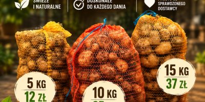 Ziemniaki pochodzą z ekologicznej uprawy bez nawozów. Przy większej