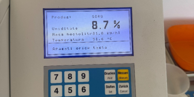 Produkcja sorgo białego 2026, czyste, suche, bardzo dobre analizy