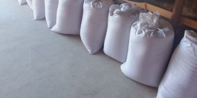 Witam, sprzedam Owies tegorocznych Żniw - 400/440kg Spakowany w