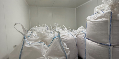 Sprzedaję duże worki wysokiej jakości kukurydzy flint do polenty