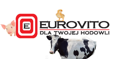 Firma Eurovito kupi całosamochodowe ilości kukurydzy. Zabieramy własnym transportem.