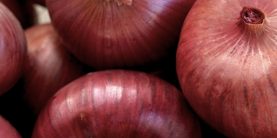 Dostawy cebuli żółtej i cebuli czerwonej luzem – świeże produkty