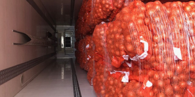 Oferujemy cebulę żółtą. Worki 10/15 kg. Dostarczamy ją własnym