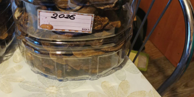 Sprzedam tegoroczne suszone łebki podgrzybków. Cena za kg 300