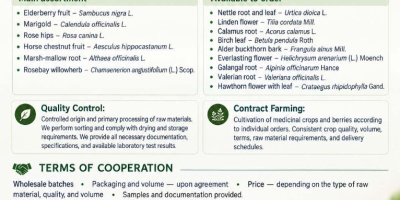 Reprezentuję ukraińską firmę agrotechniczną Galician Herbs. Specjalizujemy się w