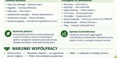 Reprezentuję ukraińską firmę agrotechniczną Galician Herbs. Specjalizujemy się w