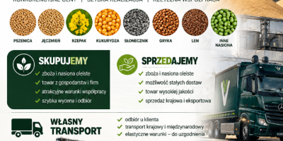 Zapraszamy do współpracy w skupie i sprzedaży nasion oleistych